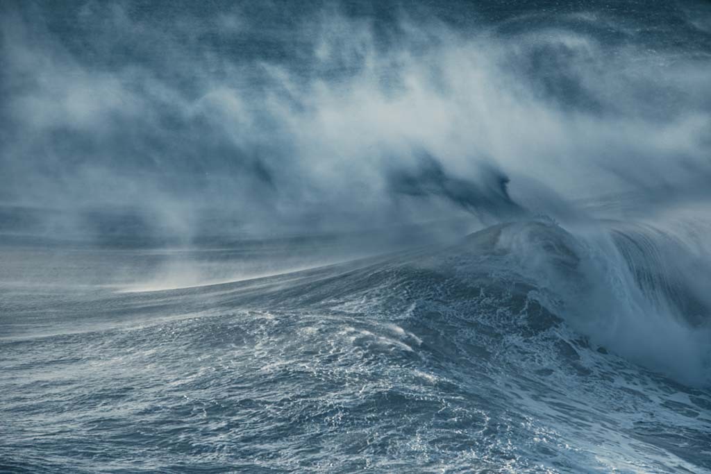 The Sea Within Us